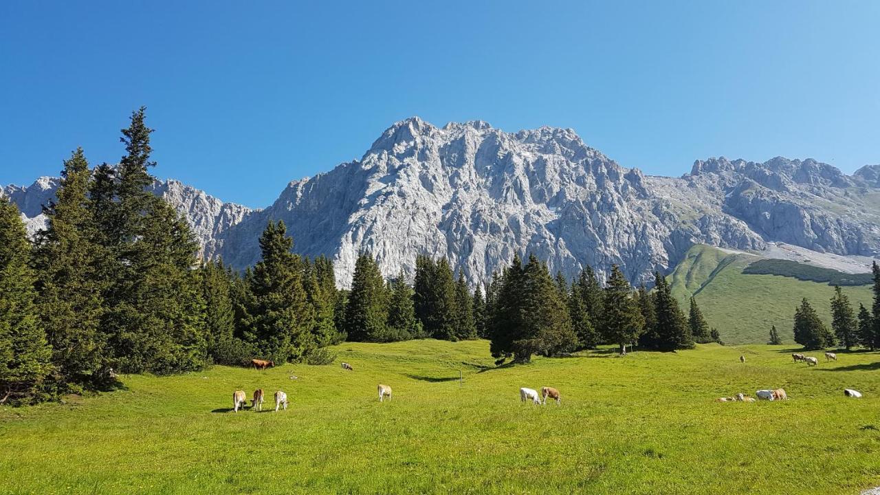 Ferienhaus Villa Alpenpanorama Ohlstadt Extérieur photo