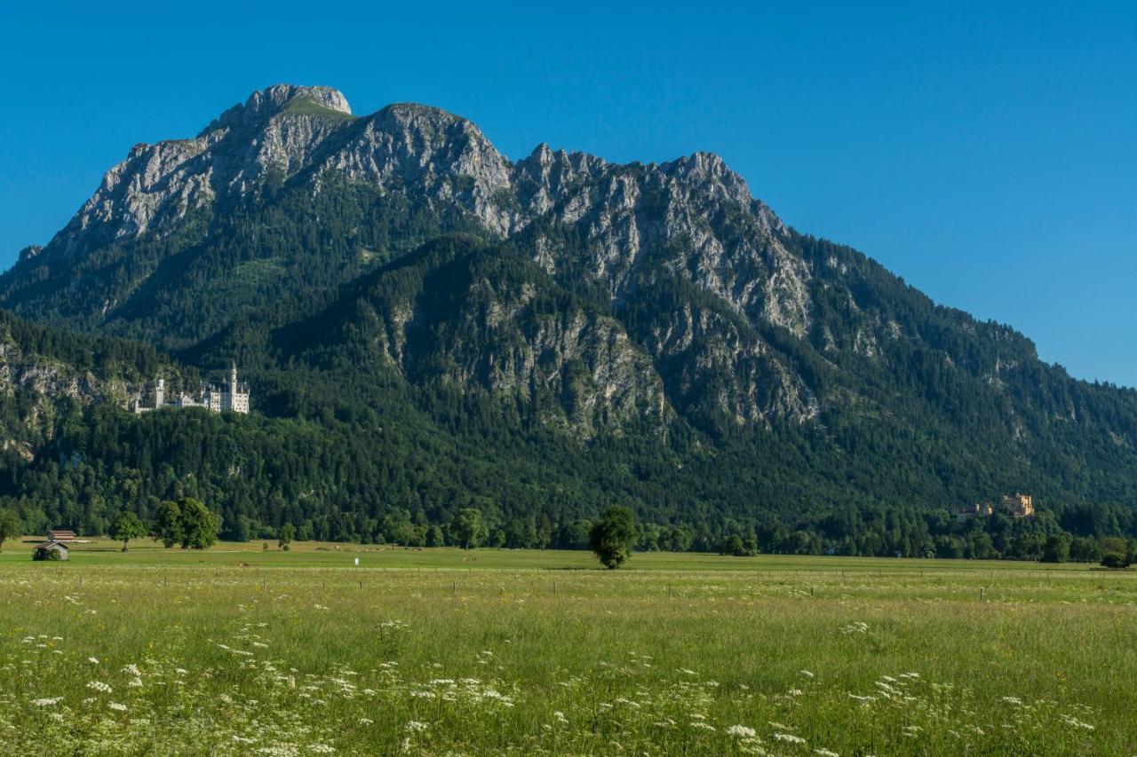 Ferienhaus Villa Alpenpanorama Ohlstadt Extérieur photo